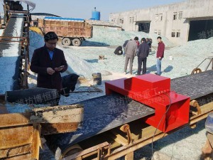 化工金屬探測(cè)儀